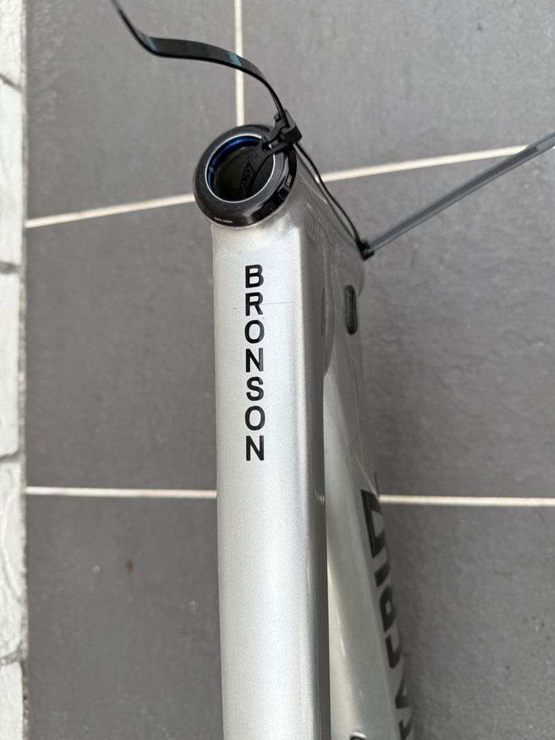 Santa Cruz Bronson V3 AL 2019 M シルバー送料込み