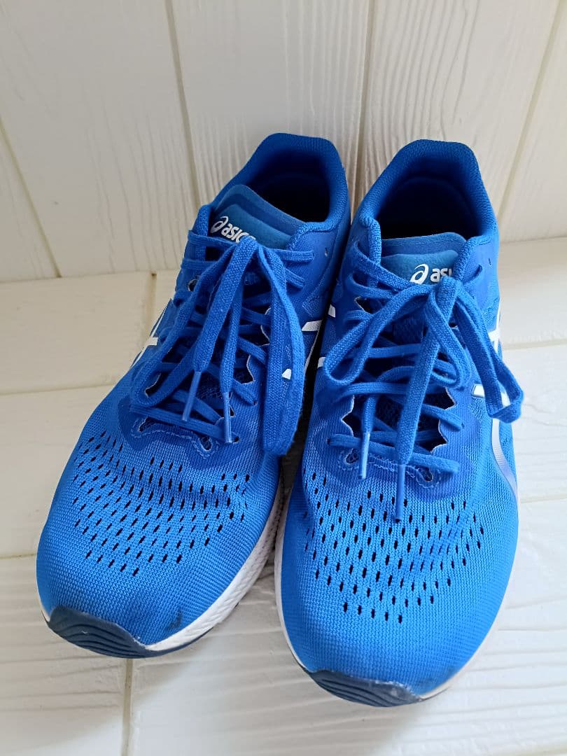 【即発送】ASICS TARTER ターサー RP 3 26.5cm