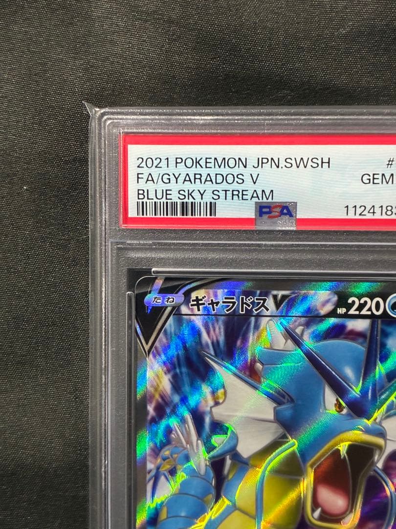 00番 世界360枚 PSA10 ギャラドスV SR gyarados 53