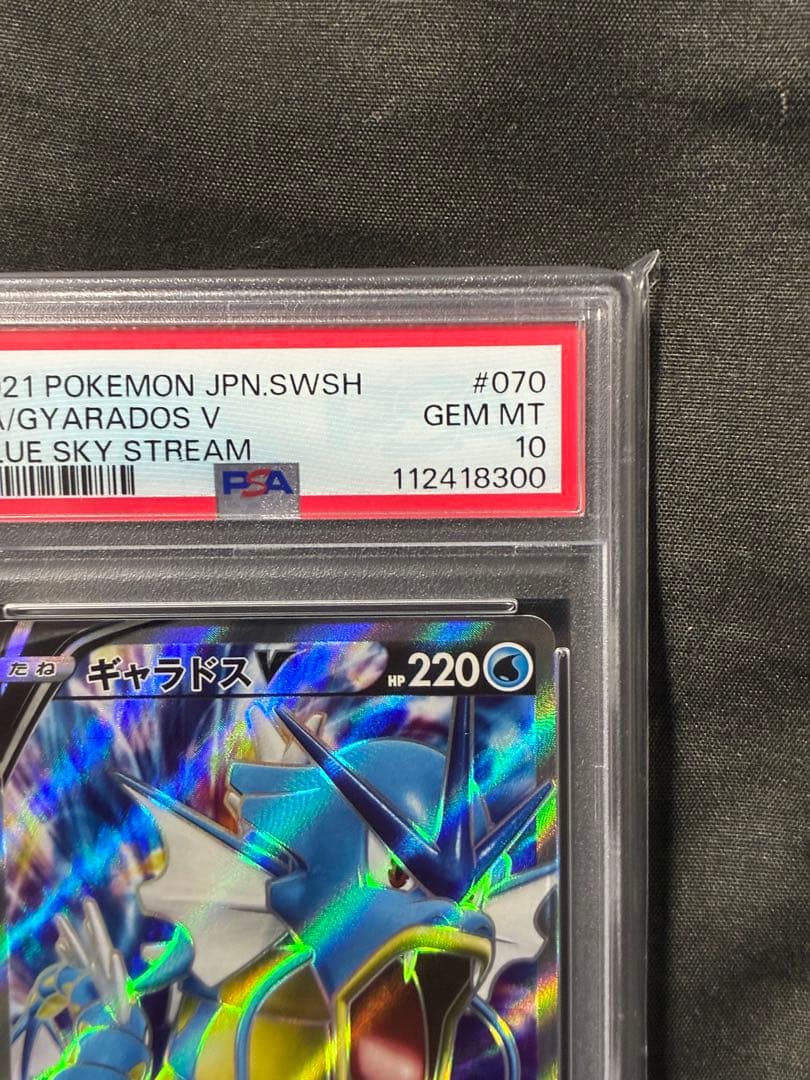 00番 世界360枚 PSA10 ギャラドスV SR gyarados 53