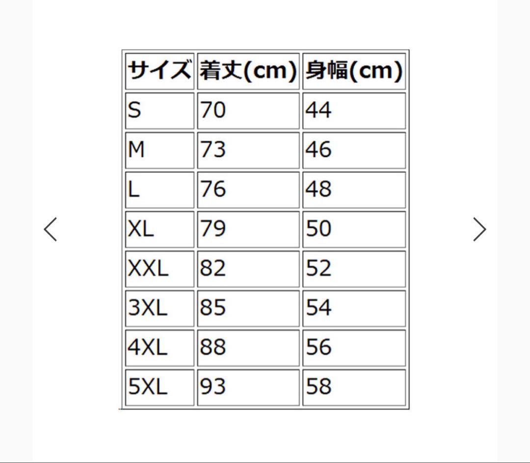 新品未使用　大阪エヴェッサ　坂本聖芽選手　オーセンティックユニフォーム　L