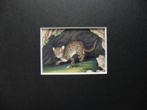 希少画集画、高級新品額・額装付、猫 ネコ ねこ cat、絵画 油彩画 動物画52