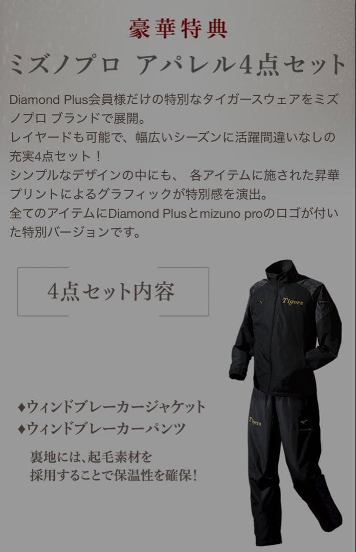 阪神タイガース ダイヤモンドプラス ミズノプロアパレル4点セット