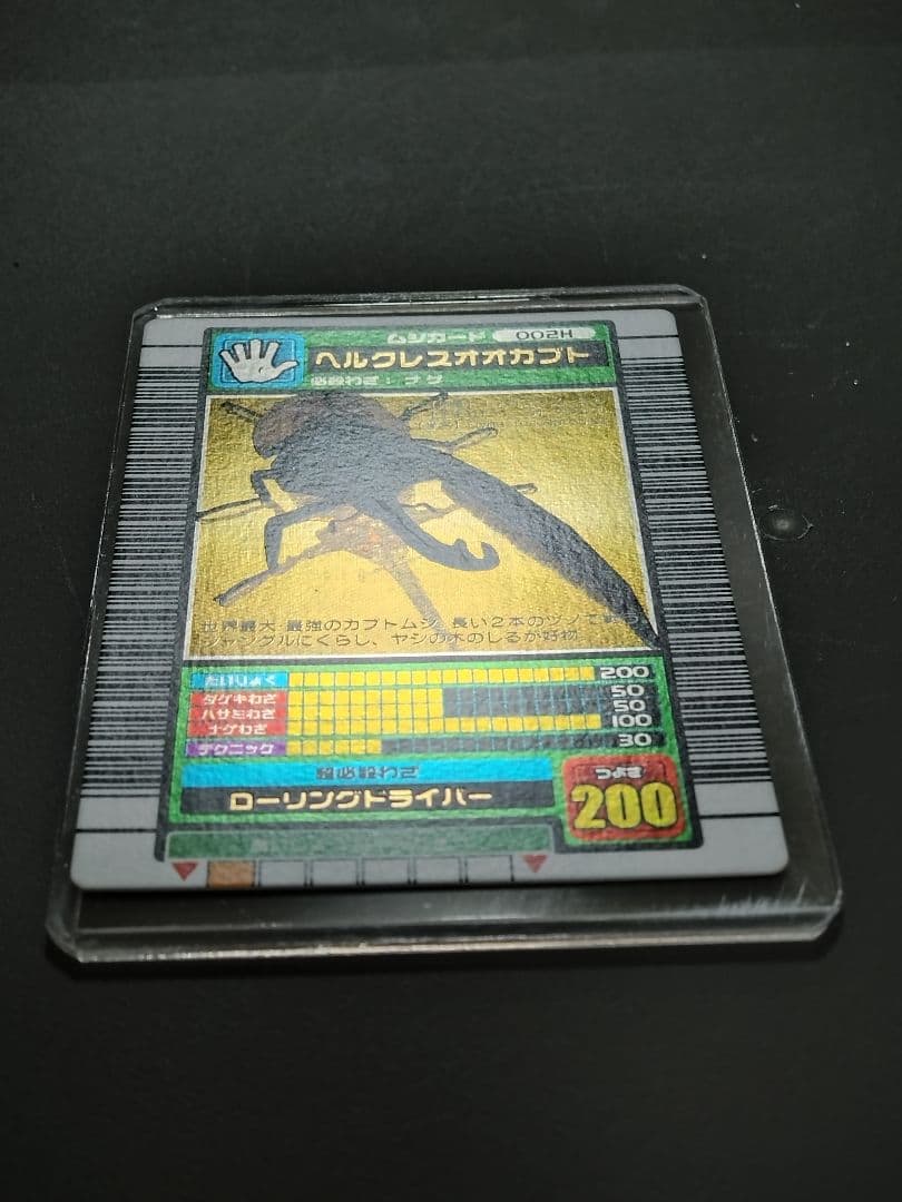 002Hヘルクレスオオカブト 2003秋 極美品