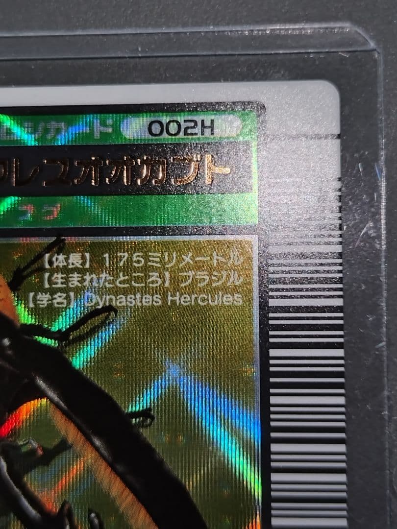 002Hヘルクレスオオカブト 2003秋 極美品