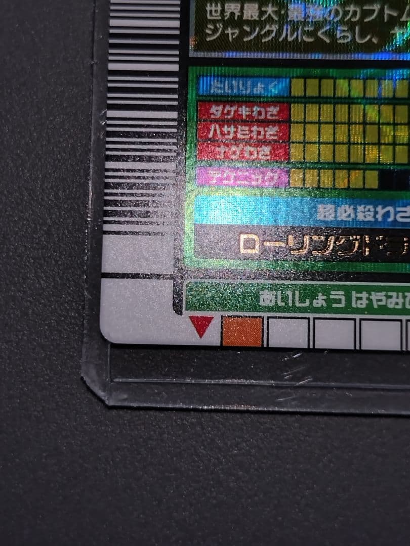 002Hヘルクレスオオカブト 2003秋 極美品