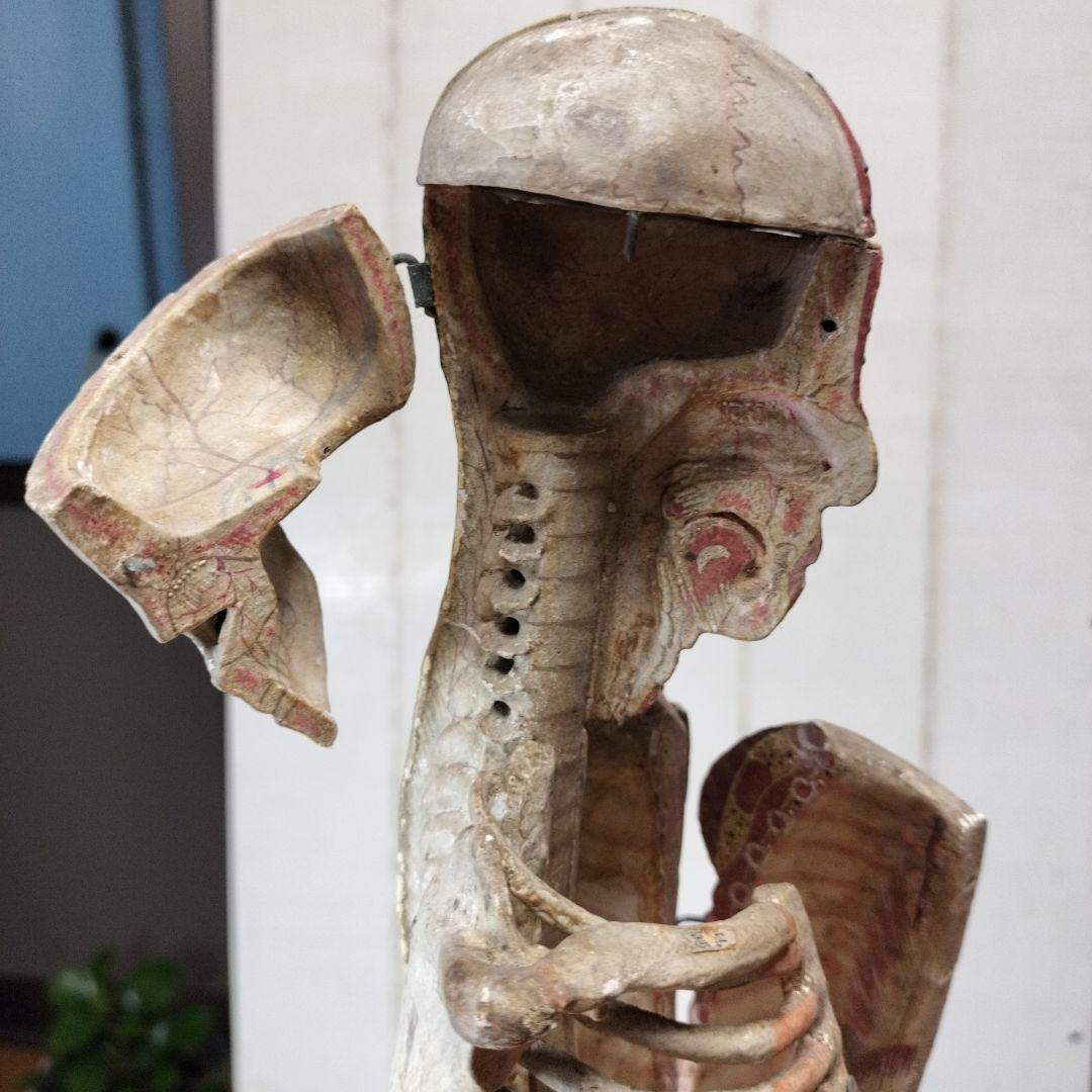 人体模型 　大昔の張り子　約60cm