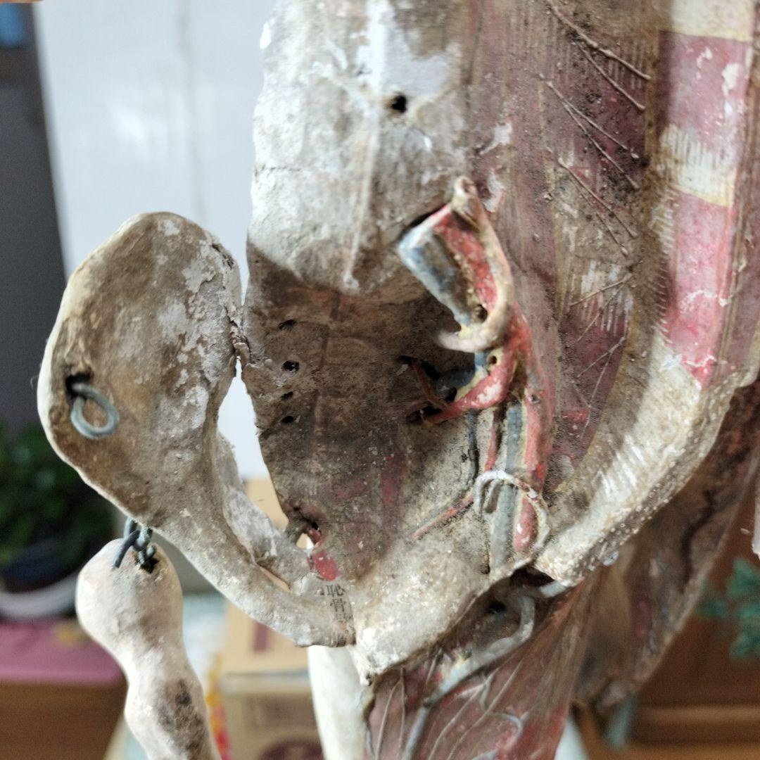 人体模型 　大昔の張り子　約60cm