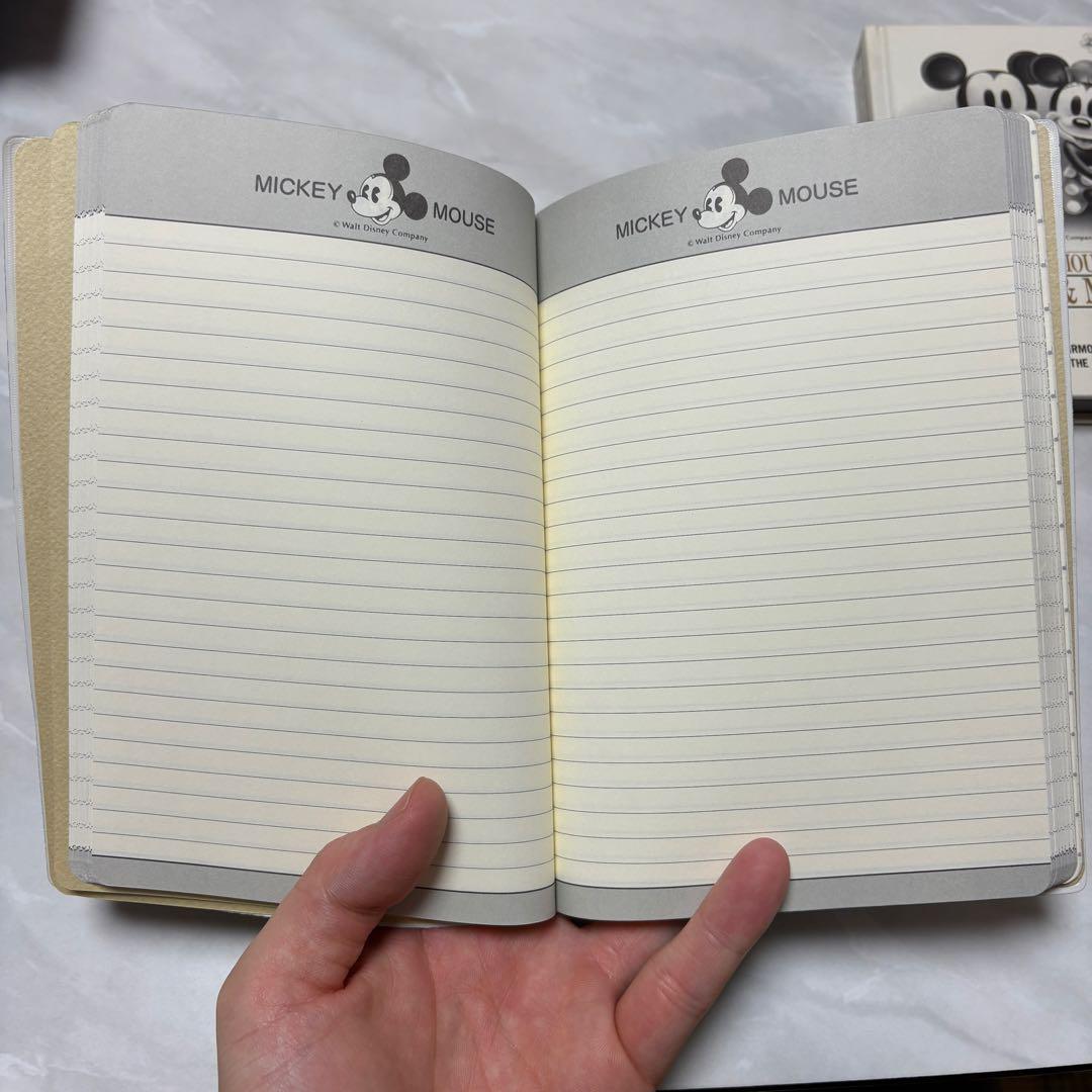 【レア品】Disney(ディズニー) 手帳 リリック文具