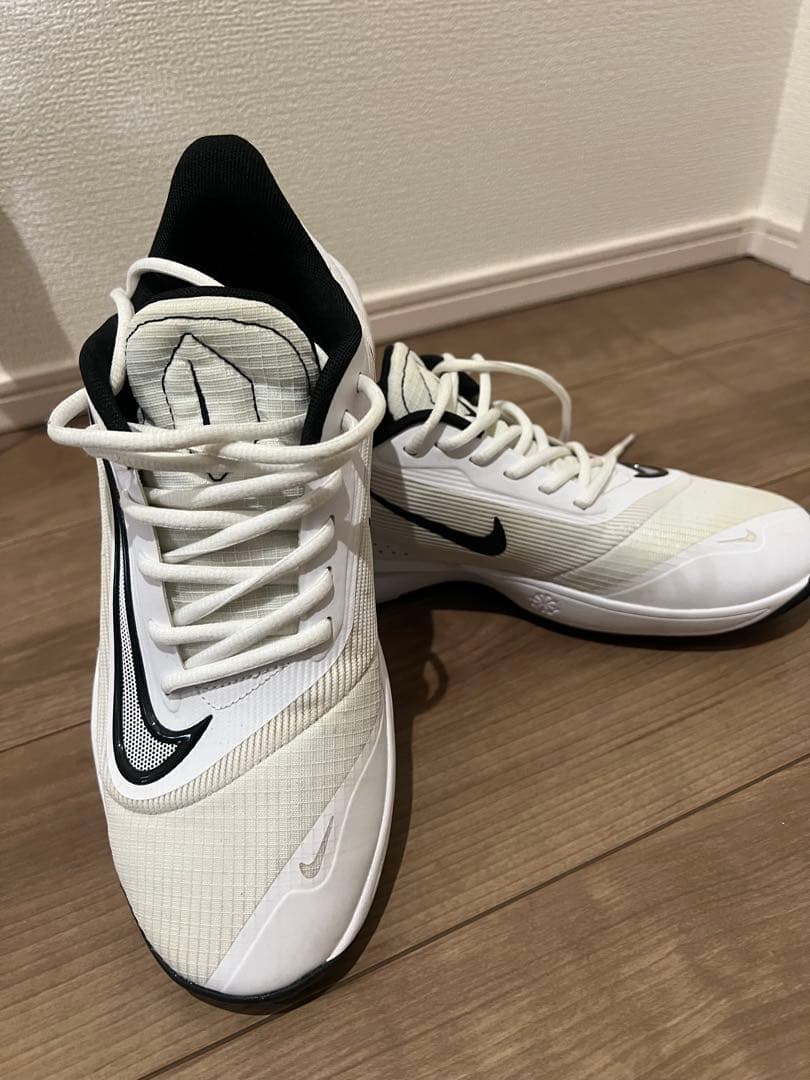 Nike バスケットボールシューズ ホワイト/ブラック