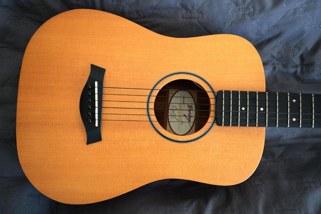 Baby Taylor BT1e ES-B ナイロン弦仕様