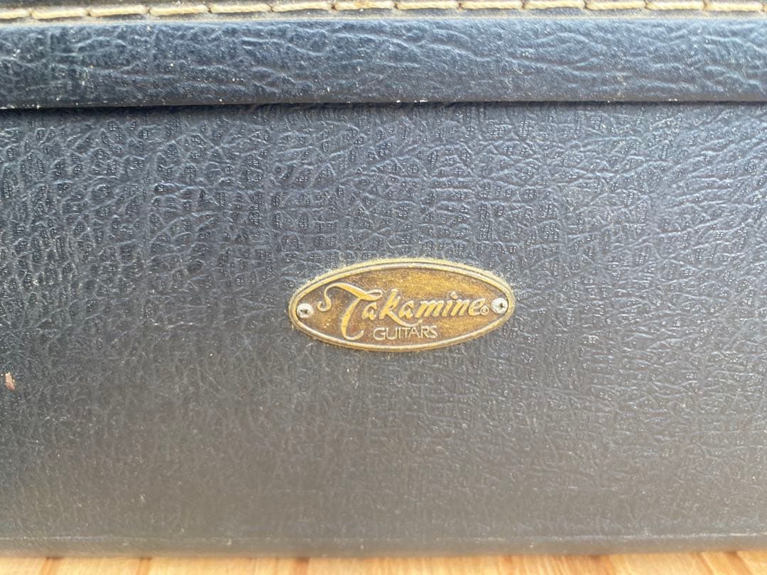 TAKAMINE NPT-010 アコースティックギター