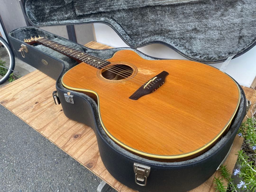 TAKAMINE NPT-010 アコースティックギター