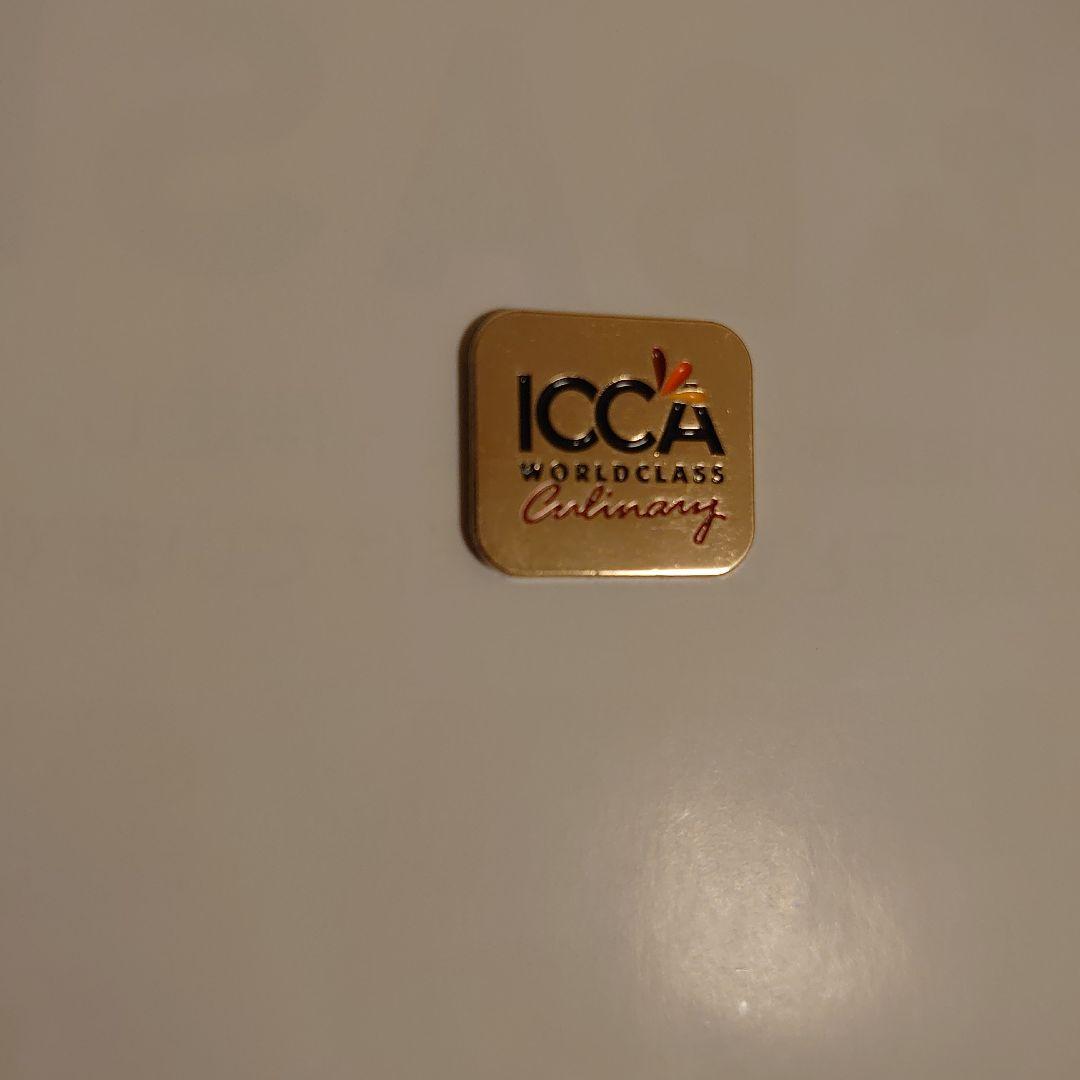 大阪•関西万博 ＵＡＥパビリオン ICCAピンバッジ（マグネット式) ステッカー