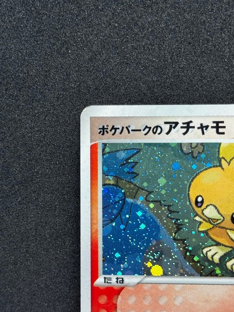 ポケパークのアチャモ ポケパークプレミアムファイル 002/009