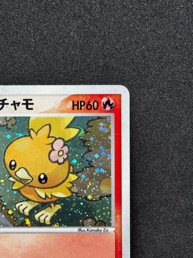 ポケパークのアチャモ ポケパークプレミアムファイル 002/009