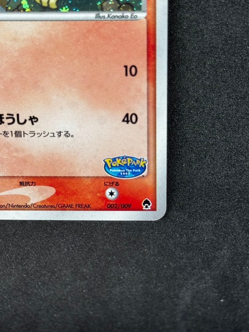ポケパークのアチャモ ポケパークプレミアムファイル 002/009