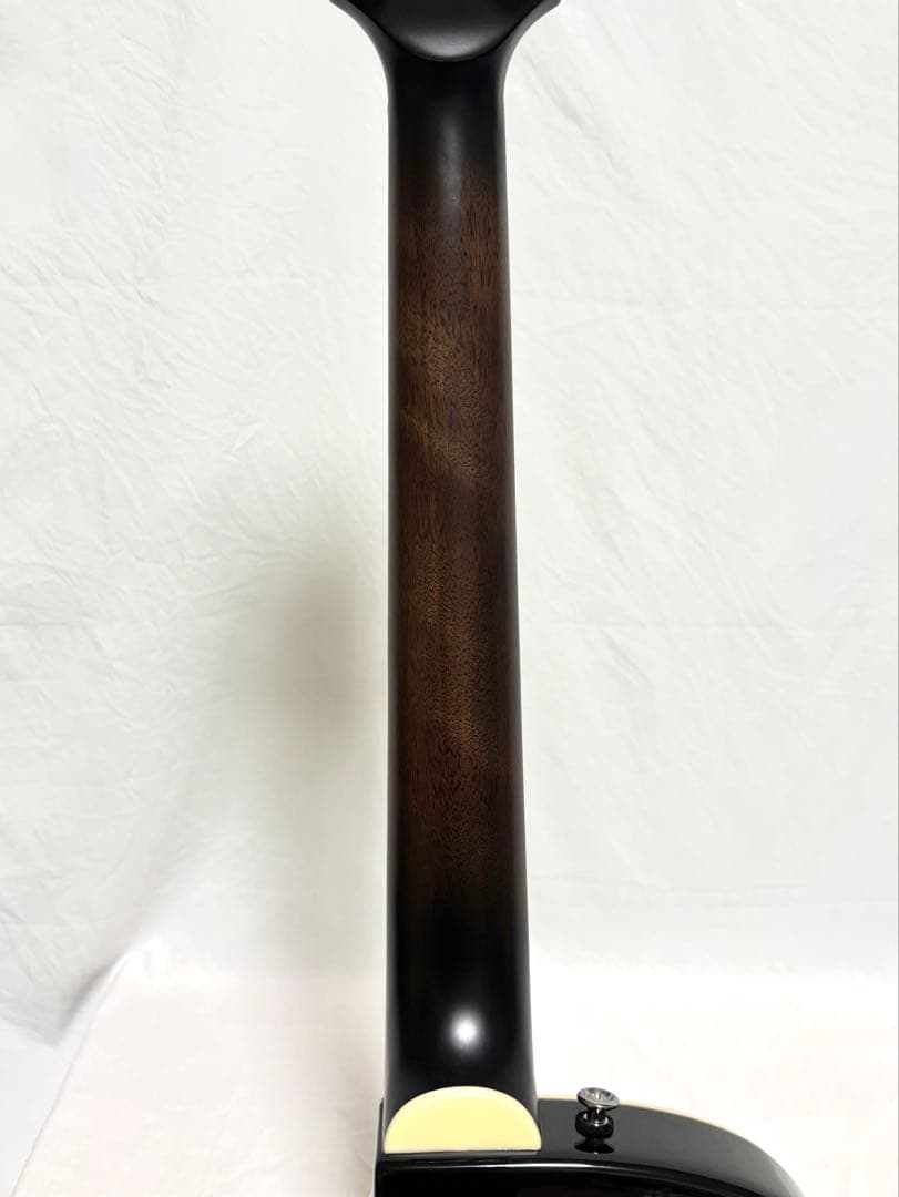 【新品弦張替済】CRAFTER エレアコ SA-TMBK L.R.Baggs