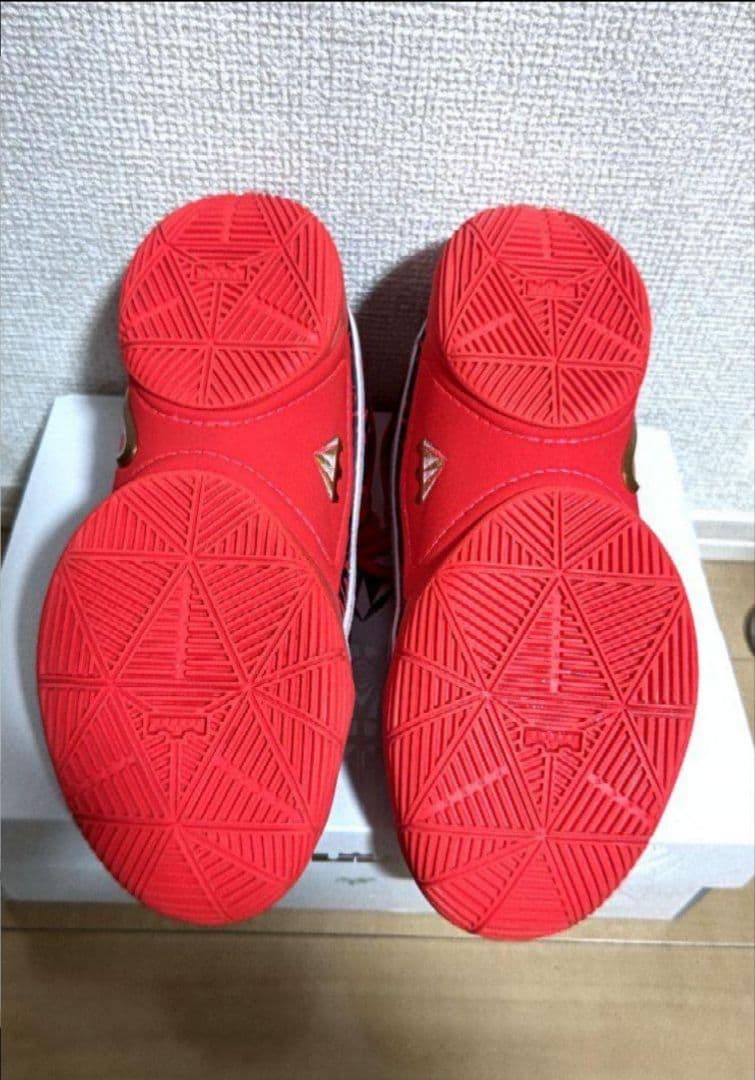 5*》様 【美品】NIKE レブロン・ジェームズ バスケットボールシューズ 23