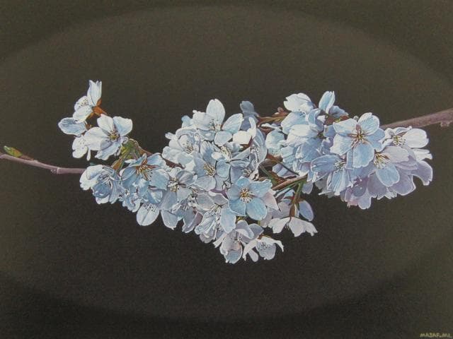池田誠史、桜、希少な画集より、新品高級額・額装付、状態良好
