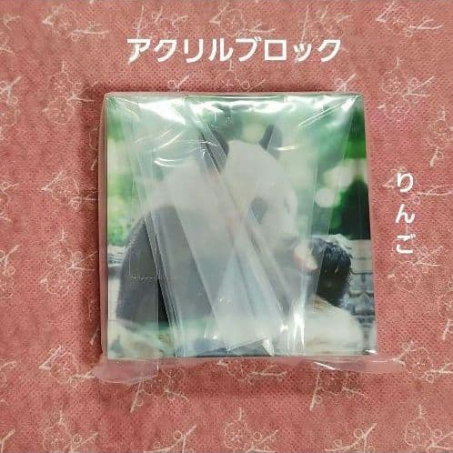大パンダ展　シャンシャン トートバッグ　本　トレカ　アクリルブロック　特典