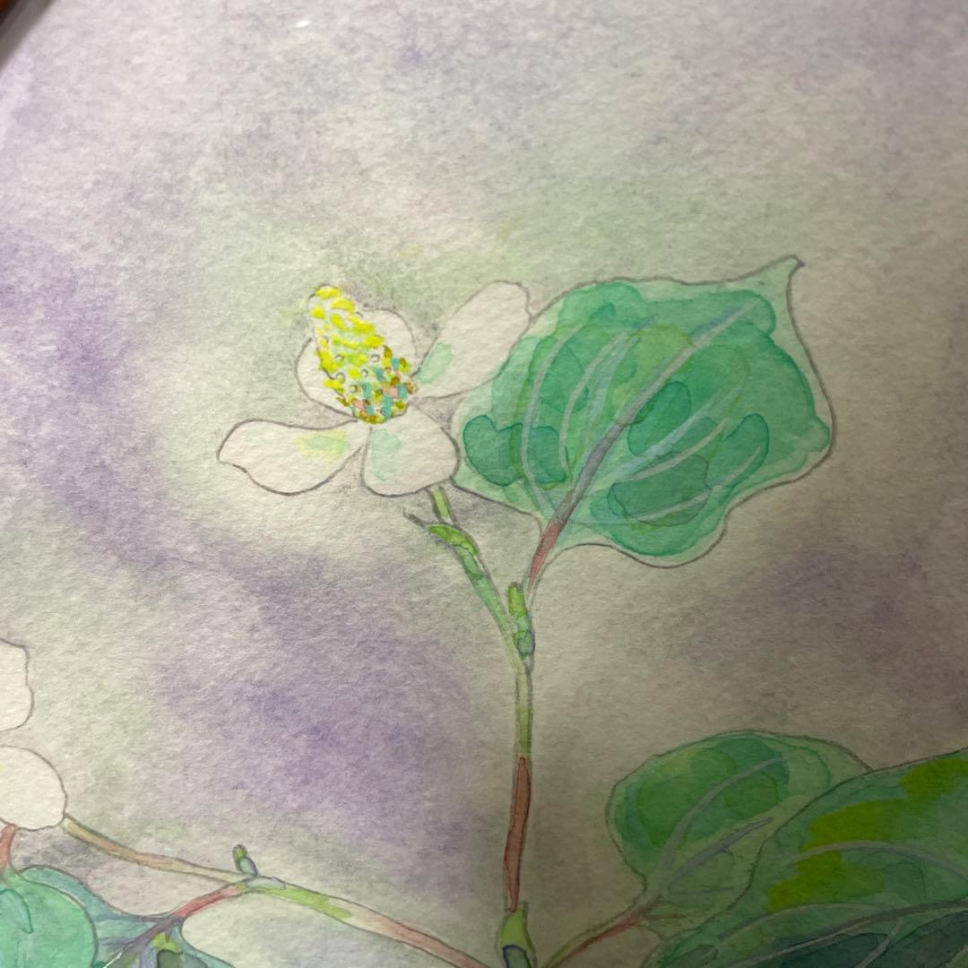 額縁　八角形　植物水彩画　日本画