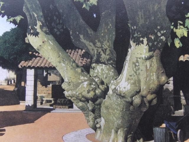 小泉正彦、【アウロンのプラタナス】、希少な大判額装用画集より、美品