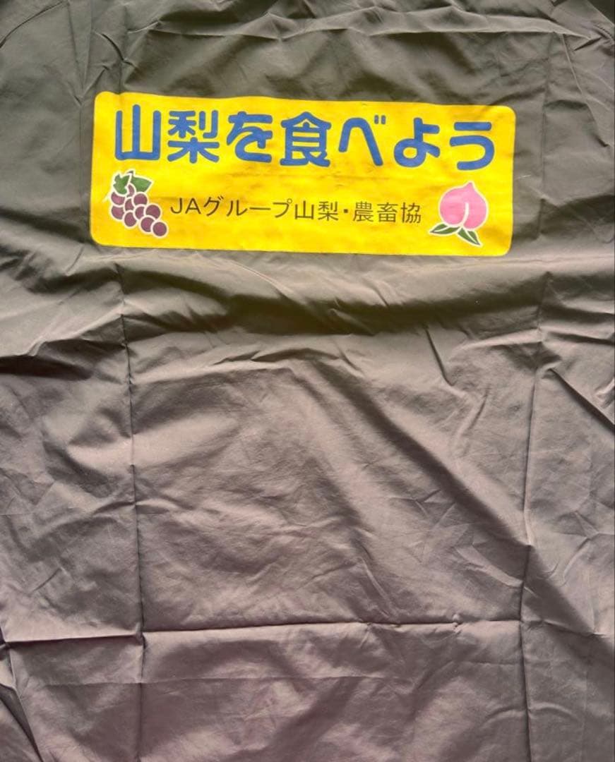 ヴァンフォーレ甲府　トレーニングウェア　練習着　ピステ