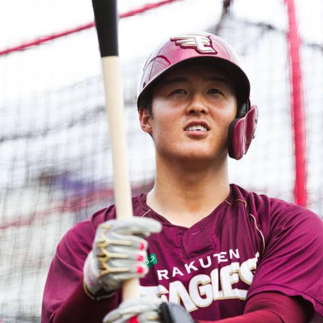 チャンドラーchandler 硬式木製バット　NPB 太田光選手　実使用バット