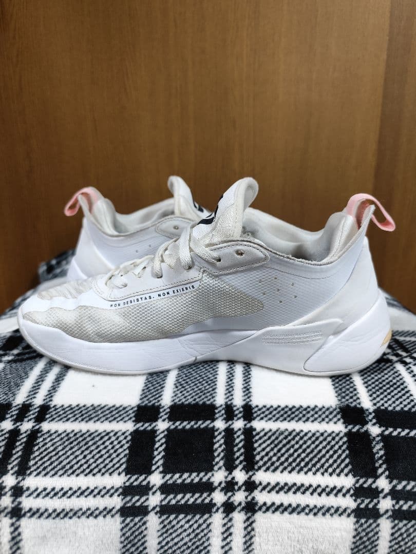 Nike Jordan Luka 1 ナイキ ジョーダン ルカ1 27.0