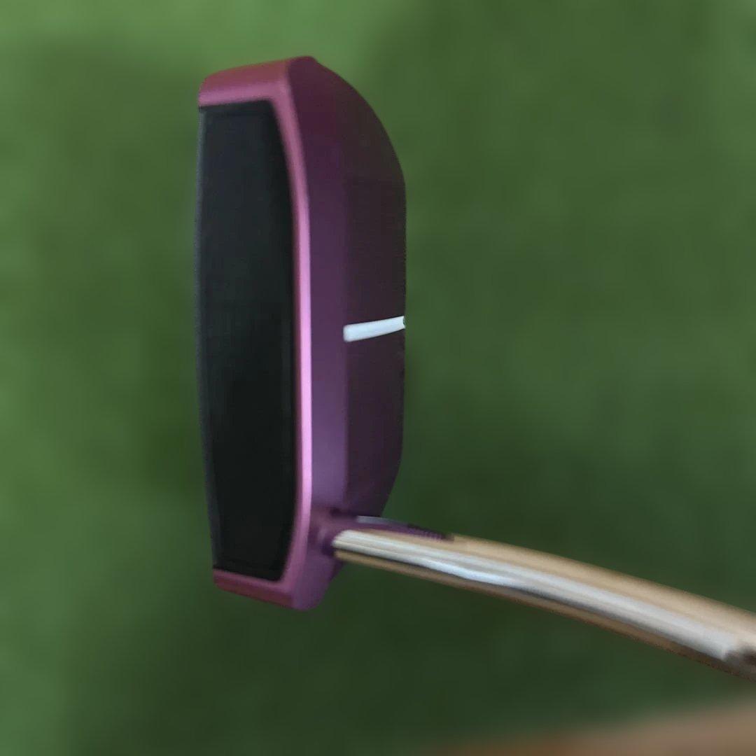 Ping パター レディース パープル　G Le 2 ECHO