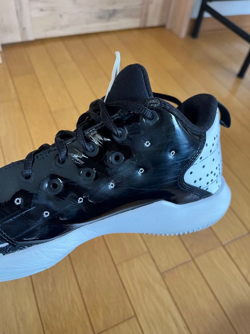 シューズ(男性用) AIR JORDAN JORDAN CP3.XII