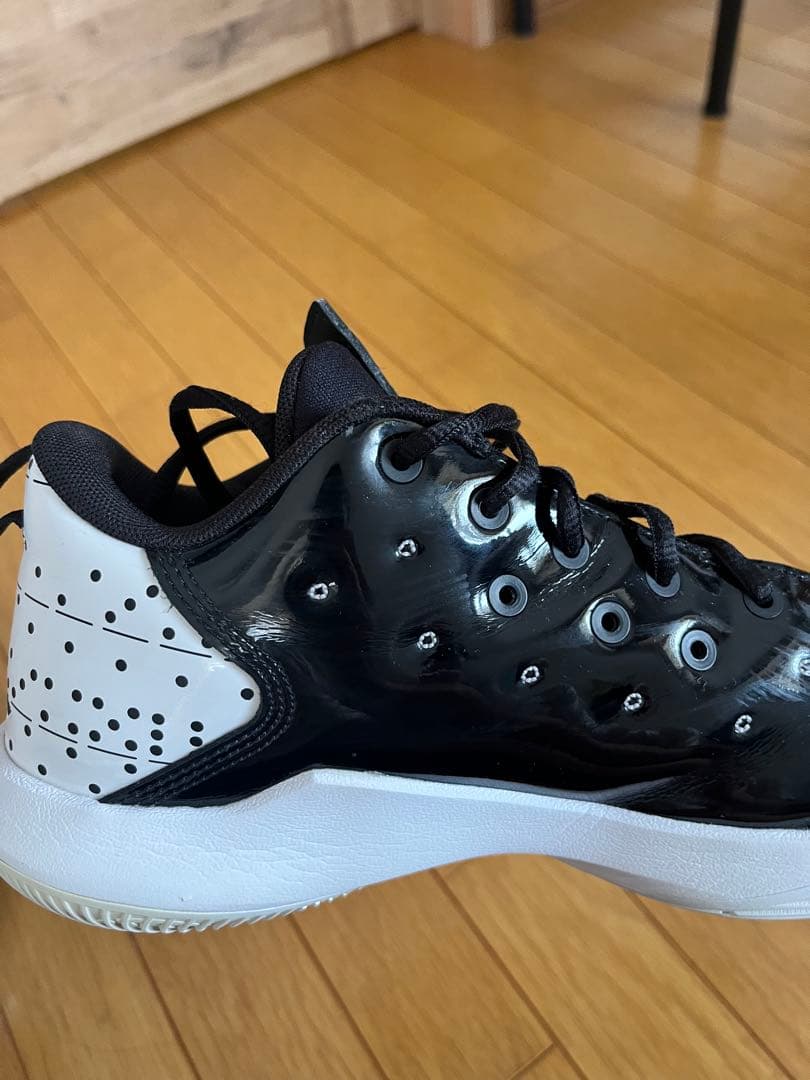 シューズ(男性用) AIR JORDAN JORDAN CP3.XII