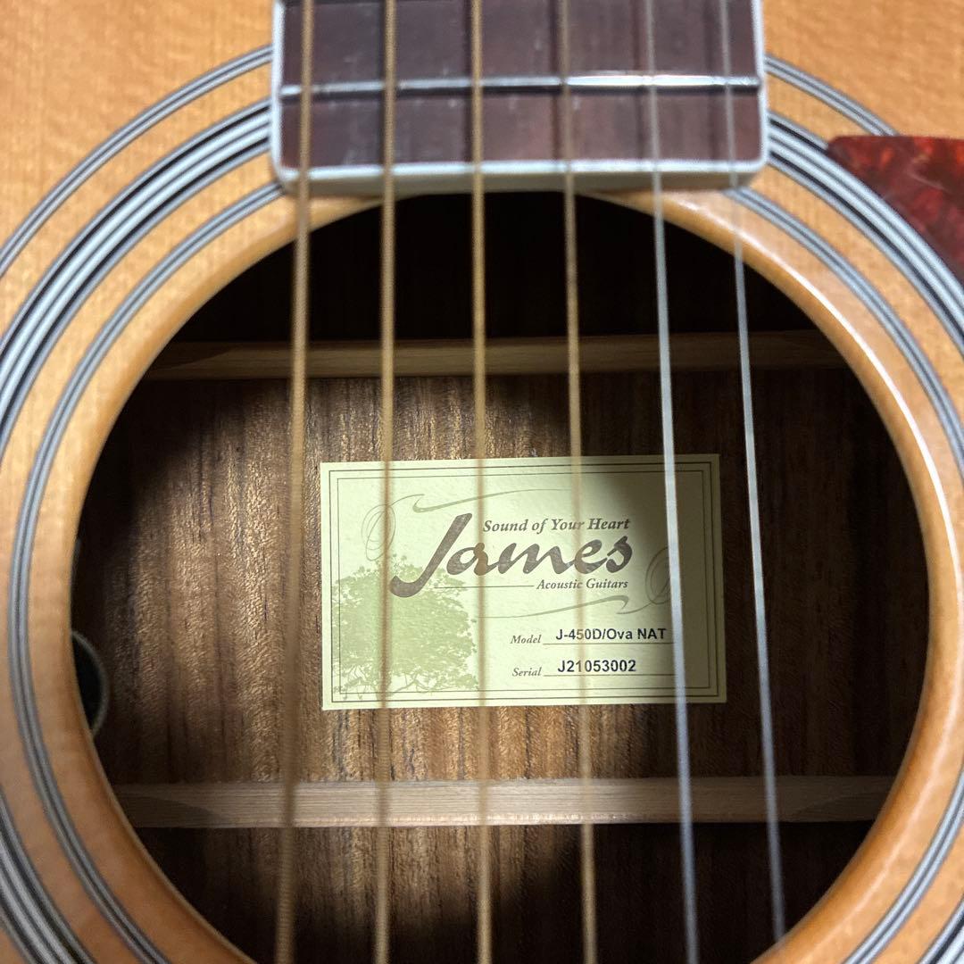 ギター James j-450d