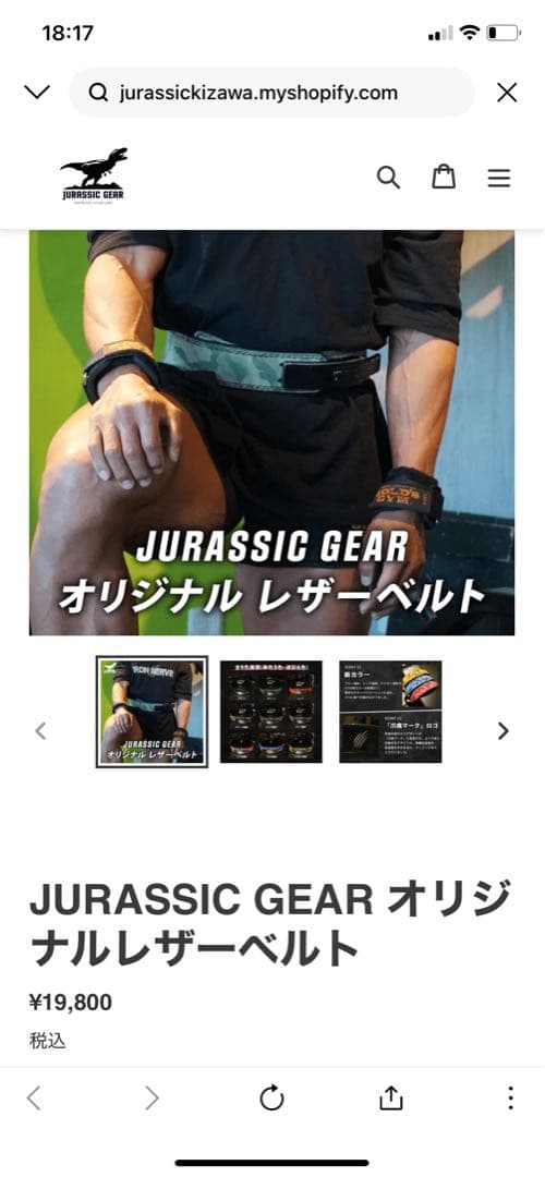 ジュラシックギア　トレーニングベルト