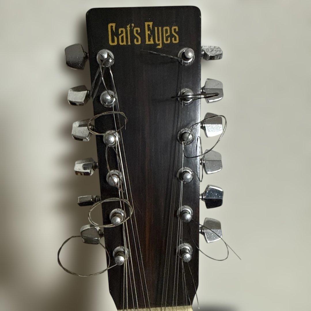 Cat’s Eyes・１２弦モデル・CE-350TW/