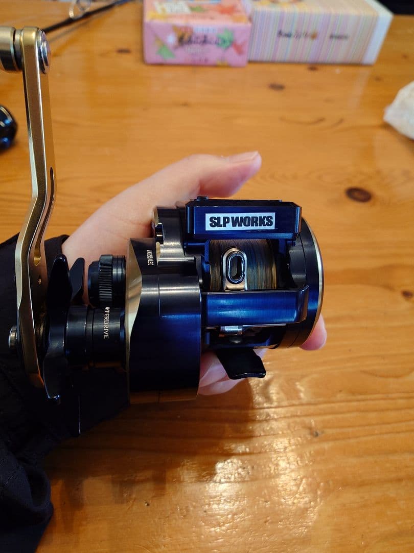使用数回美品、SALTIGA IC 300 SLP WORKS カスタム品