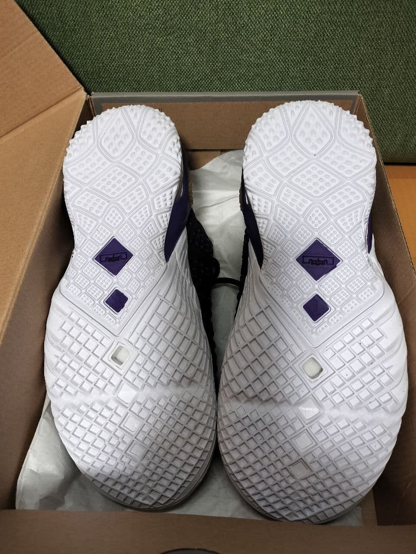 ナイキ LEBRON XVIII (GS)