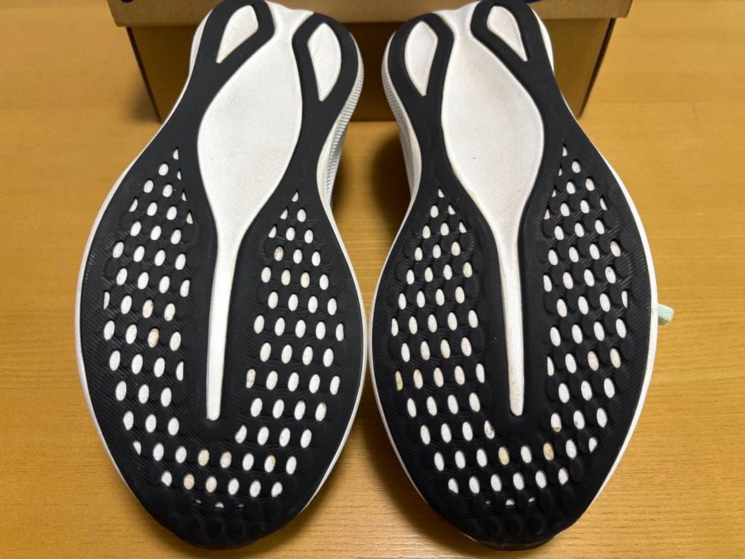 asics EvoRide Speed 3（27.０cm）