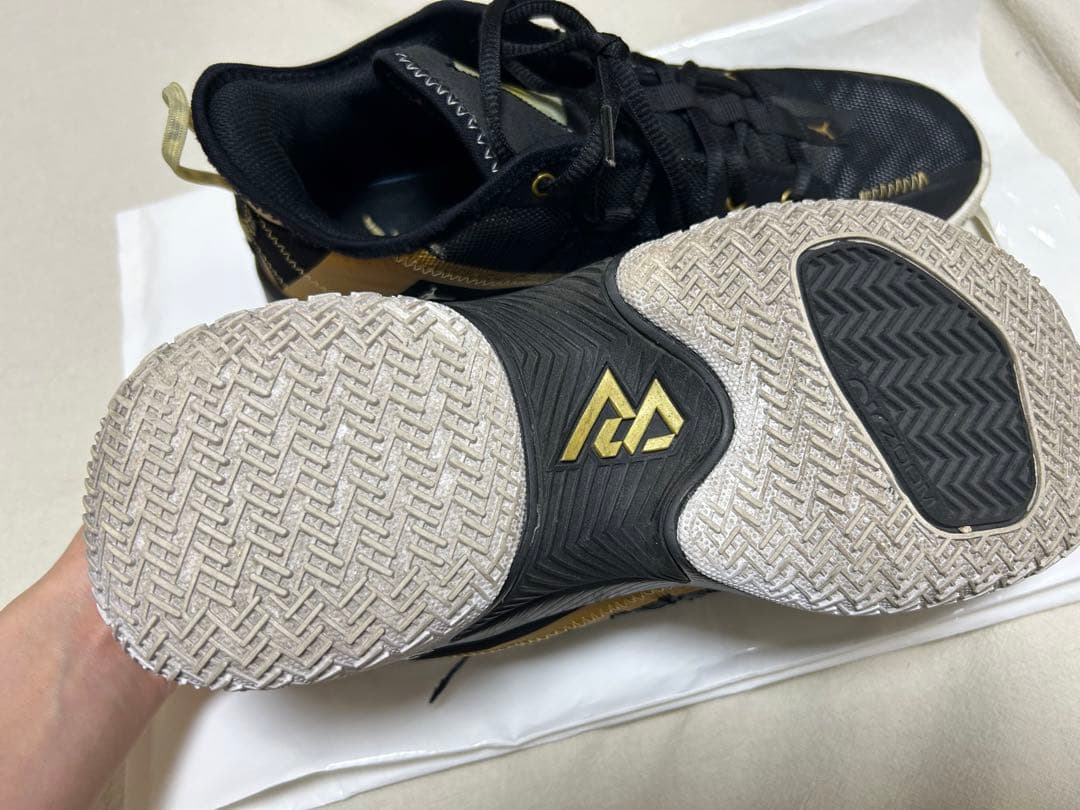 Jordan CW2458-007 バスケットボールシューズ US8
