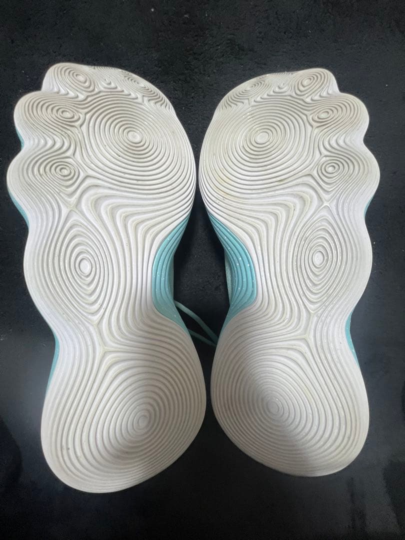 NIKE HYPERDUNK ティファニーブルー 29cm