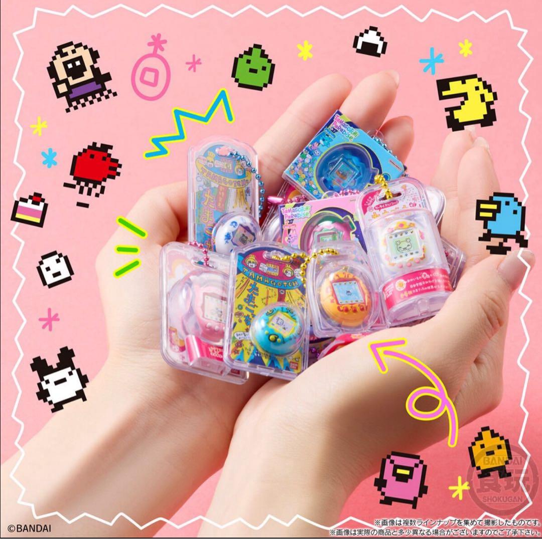 おかしなたまごボーロっち3 ボックス　3箱