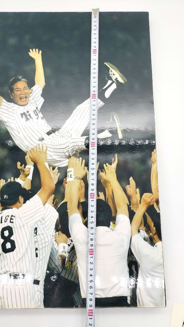星野監督胴上げ　阪神タイガース　パネル＋星野監督名刺