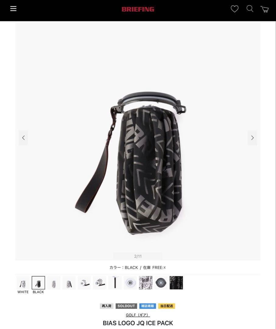 完売品　新品　BRIEFING BIAS LOGO JQ ICE PACK