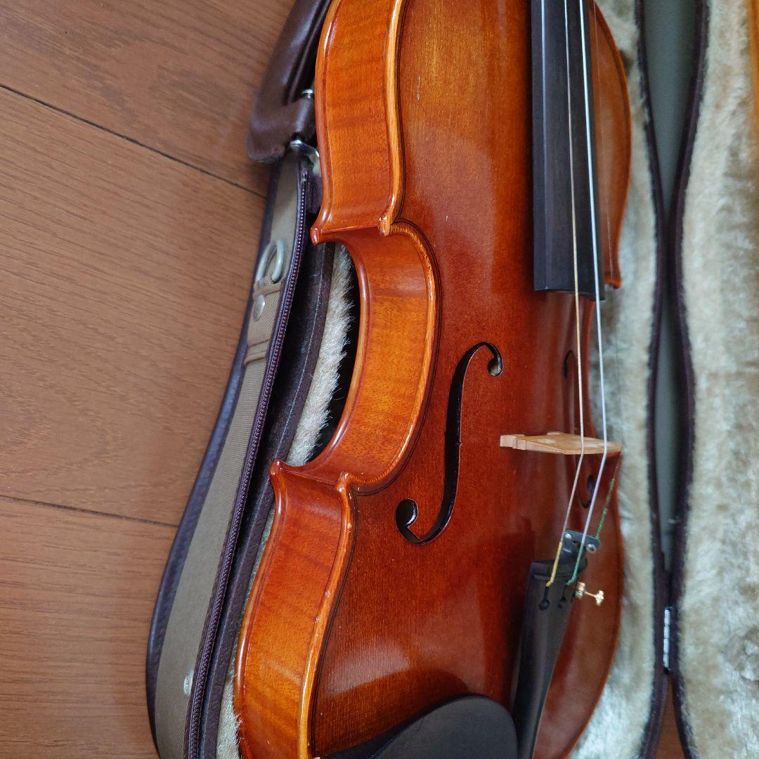 Sebastian Riedl V-4 バイオリン