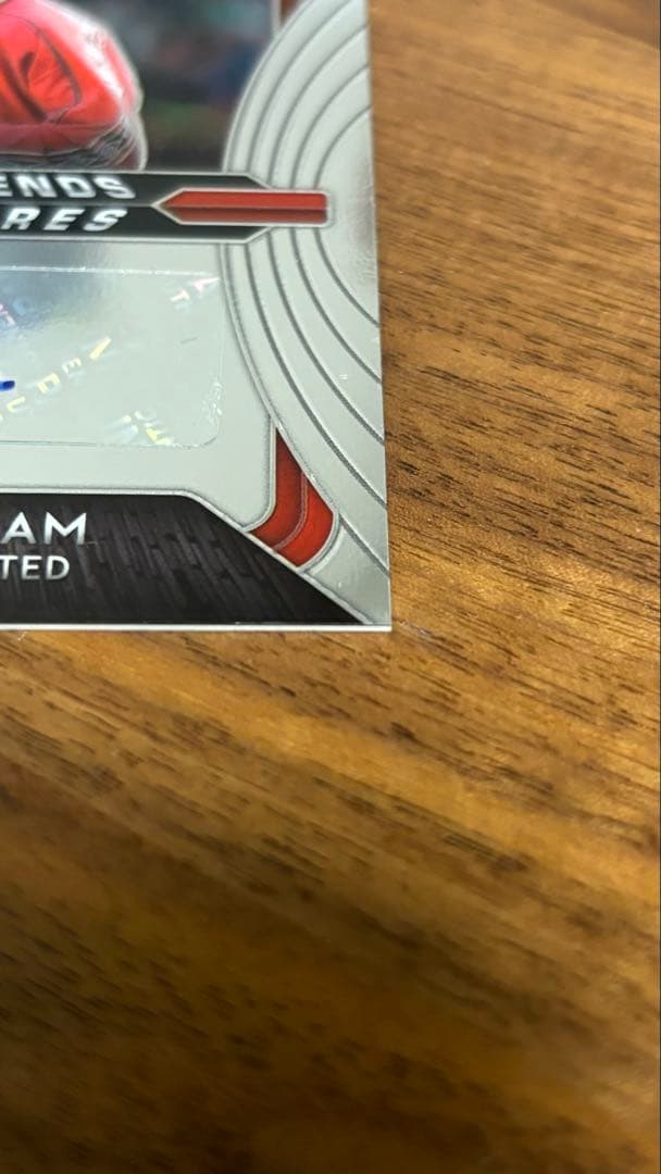 David Beckham ベッカム Panini Prizm AUTO