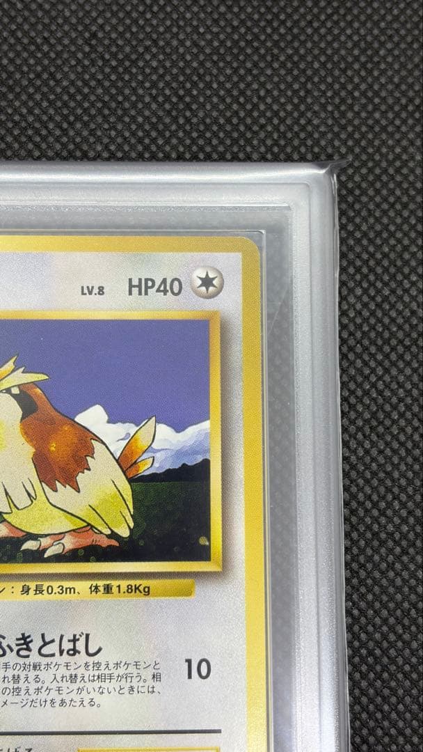 ポッポ 初版 旧裏 マークなし ARS10 PSA10相当【世界に3枚】