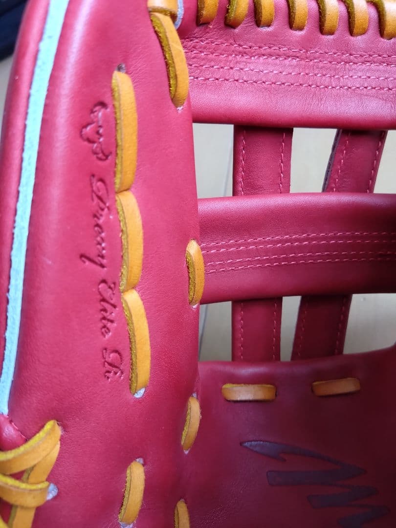 ☆MizunoPro 軟式内野手用 サイズ10 ブリック　専用袋付き