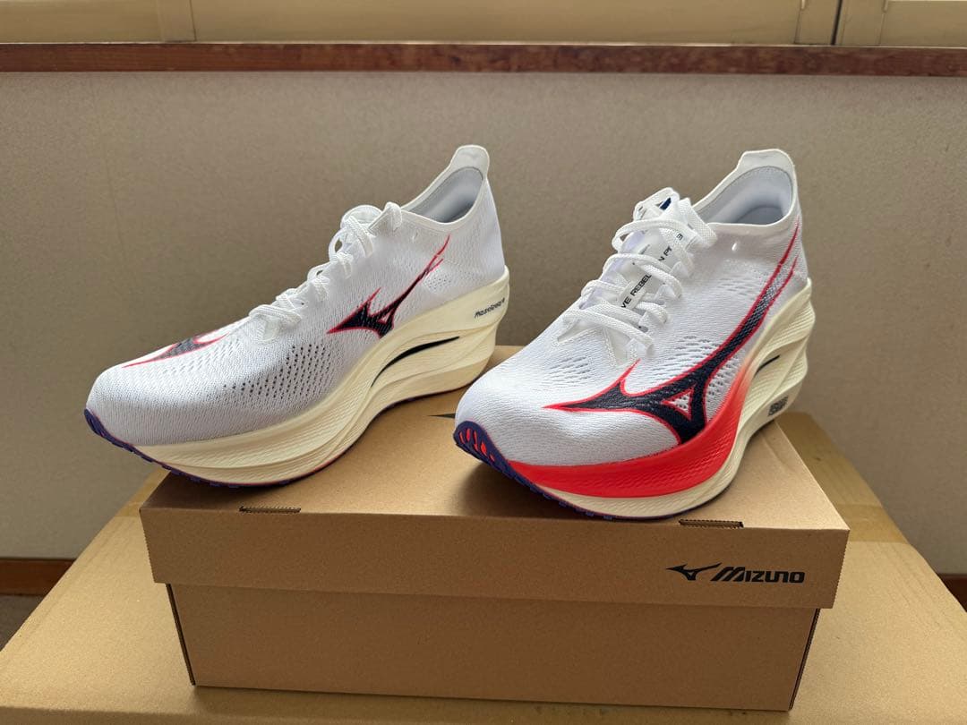 MIZUNO／WAVE REBELLION PRO 3 （28.5cm）