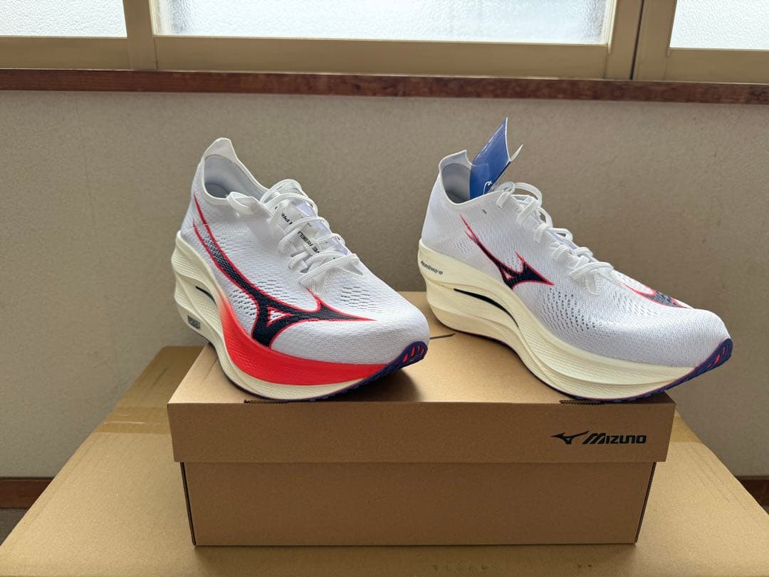 MIZUNO／WAVE REBELLION PRO 3 （28.5cm）